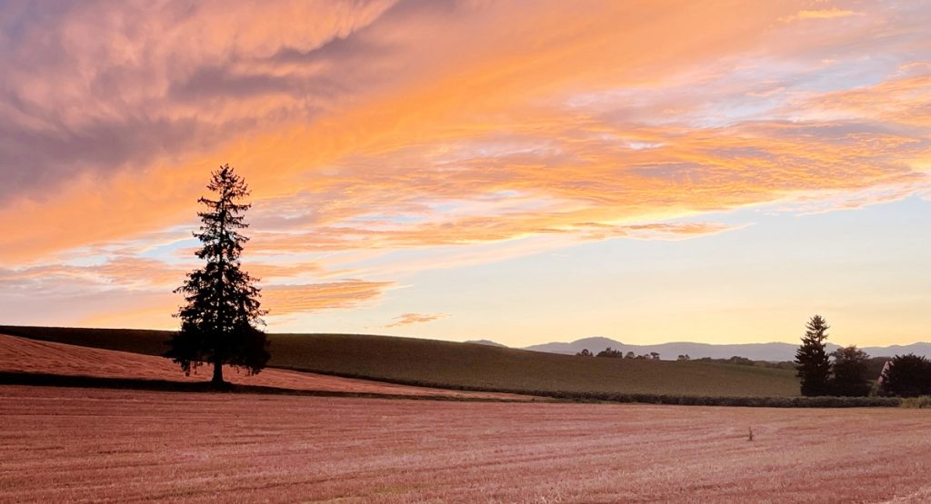 美瑛　富良野　薫風舎 img03